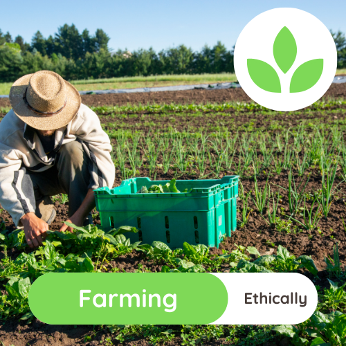 Farming Ethically