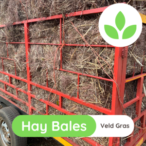 GroSpace - Hay Bales (9)