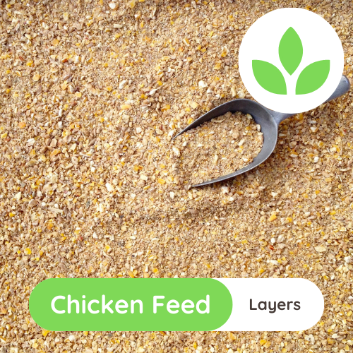 The Growing Space - Chicken Feed for Layers 50kg (9)