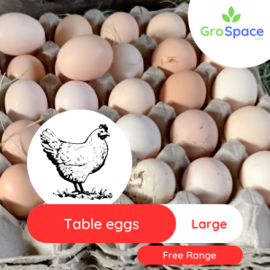 The Growing Space Table Eggs - Large Free Range Eggs (9)